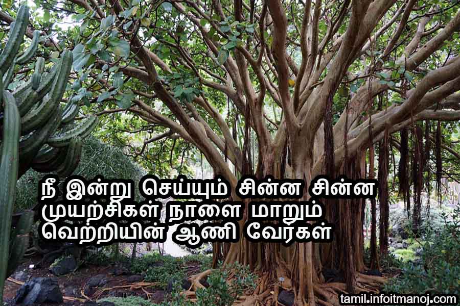 Thoughtful Motivational Quotes In Tamil For Students Youngsters Tamil Kavithaigal Then you are at the right place here we provide best collection of tamil quotes. thoughtful motivational quotes in tamil